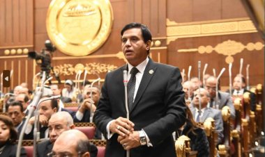 النائب طارق نصير يتحدث عن زيارة وزير الخارجية الأمريكي لمصر