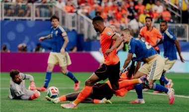 منتخب هولندا يسحق السويد بخماسية في كأس العالم