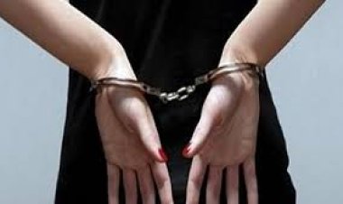 القبض على سيدة فيديو خنق قطة في المقطم