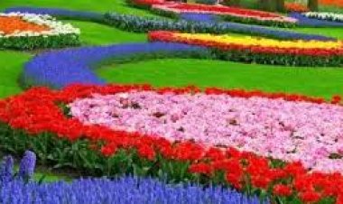 مركز معلومات تغير المناخ: بداية فصل الصيف الخميس 21 مارس 2024