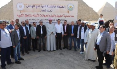 الحكومة تتحرك لرعاية الحيوانات الأليفة في المناطق الأثرية