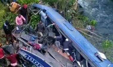 سقوط حافلة من أعلى جسر في جنوب إفريقيا