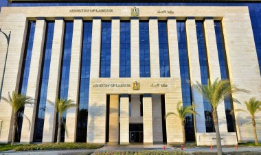 للمصريين في الخارج.. 9 مكاتب تلعب دورًا في ورعاية العمال وتوعيتهم بحقوقهم وواجباتهم