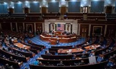 مجلس النواب الأمريكى يرسل خطابا إلى مجلس الشيوخ لعزل وزير الأمن الداخلى