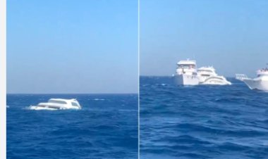 محافظ البحر الأحمر: العثور على 7 أشخاص منهم 3 أحياء وانتشال 4 جثث في حادث مركب مرسى علم 