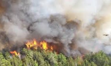 بسبب حرائق الغابات.. السلطات اليابانية تطلب من 400 شخص إخلاء منطقة في شمال البلاد