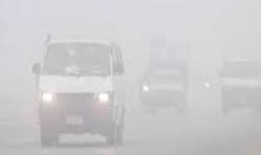 رسالة تحذير عاجلة من وزارة الداخلية لقائدي السيارات خلال الشبورة المائية 