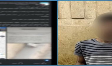 القبض على عاطل لتعديه على كلب ضال بأحد شوارع المنيا