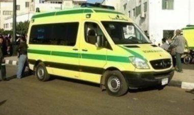 عامل يذبح  سائق لسرقة سيارة ميكروباص فى الإسكندرية 