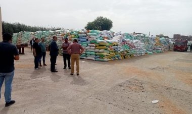 محافظ الدقهلية: توريد 89 ألف طن قمح إلى الصوامع والشون