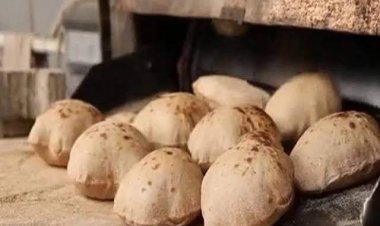 سعر رغيف الخبز.. «التموين» تزف بشرى لـ 70 مليون مواطن