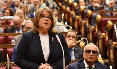 النائبة فيبي فوزي: محصول القطن لديه خصوصية في التاريخ والوجدان المصري