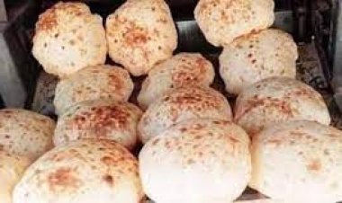 أسعار الخبز السياحي رسمياً بعد الانخفاض