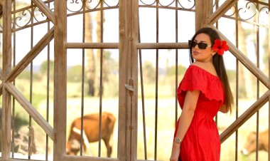 إلهام وجدي تكشف تفاصيل شخصيتها في «جري الوحوش» بموسم دراما رمضان 2024