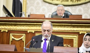 مجلس النواب يوافق مبدئيًا على قانون رعاية حقوق المسنين