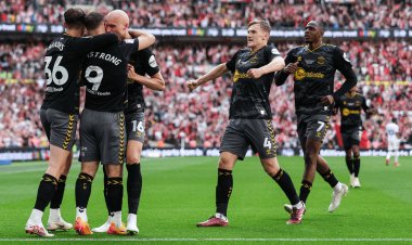 رسميا.. ساوثهامبتون يعود إلى الدوري الإنجليزي الممتاز