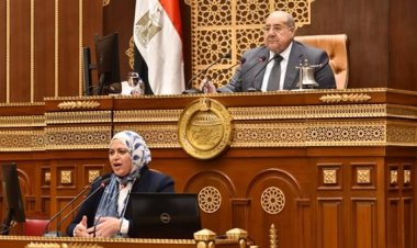 نائب رئيس الهيئة العامة لتخطيط مشروعات النقل أمام «الشيوخ»: مشاركة القطاع الخاص في ملف النقل