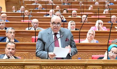 رئيس الجهاز المركزي للمحاسبات يحضر بالبرلمان للمرة الأولى منذ 10 سنوات