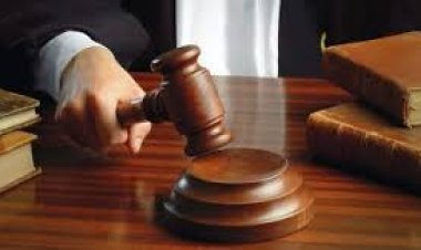 حجز دعوى قناة النهار الفضائية ضد مسلسل أمير العوامري لهاني سلامة
