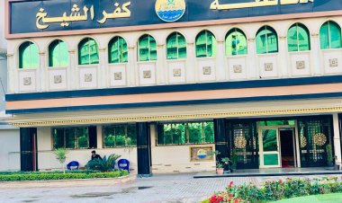 كفرالشيخ: تحصين 38 ألف طائر متنوع ضد الأمراض الوبائية وإنفلونزا الطيور