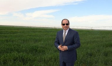 الزراعة  تكشف مفاجآت عن مشروع توشكى