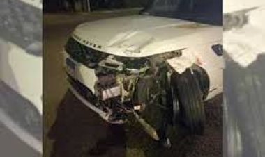 أولى جلسات استئناف نجل زوجة الشيف الشربيني على حبسه في دهس عامل دليفري 