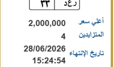 "رعد 33 " لوحة مرور مميزة تشعل تصل ل2 مليون جنيه بمزاد المرور