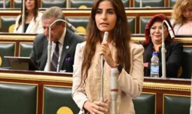 النائبة إيلاريا حارص: كلمة الرئيس السيسي خلال احتفالية عيد العمال حملت رسائل طمأنة لهم