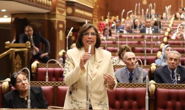 برلمانية بالشيوخ: زراعة القطن جزءً من الأمن القومي للبلاد