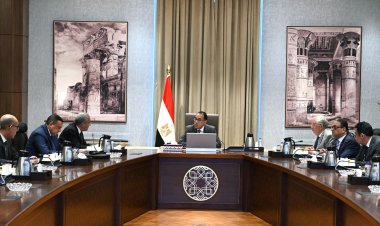 رئيس الوزراء يتابع موقف زراعة الأرز وتوفيره في الأسواق للمستهلكين