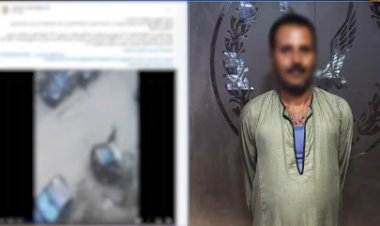 القبض على حارس عقار تعدى على كلب بشومة فى المقطم 