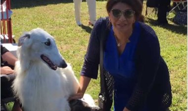 هالة صدقي توجه نصيحة للآباء: «علموا أولادكم يحبوا الكلاب عشان يعرفوا يحبوكم»