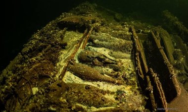 من القرن التاسع عشر.. العثور على 100 زجاجة شمبانيا في بحر البلطيق