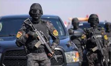 ضبط عاطلين ومزارع هاربين من 98 حكم قضائي متنوع في البحيرة وبني سويف