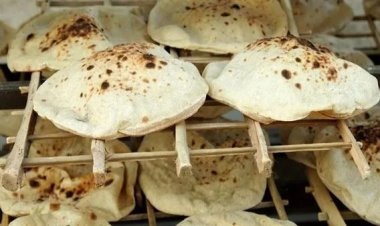 عاجل... مقترح برلماني لمواجهة ارتفاع أسعار الخبز السياحي