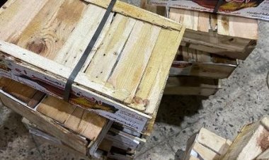 ضبط «1500 ك» أسماك مدخنة و مجمدة و لحوم و دواجن غير صالحة للإستهلاك الآدمي بالشرقية