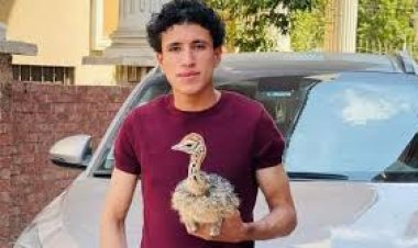 بعد وفاته.. من هو أصغر مربى نعام في مصر