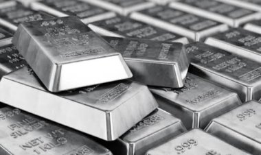 جولد بيليون: الفضة ترتفع 32.4% وتسجل أعلى مستوى منذ 2013