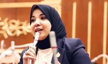 النائبة دينا هلالي: العمليات العسكرية  الإسرائيلية  في رفح الفلسطينية تضرب عرض الحائط بالقوانين الدولية