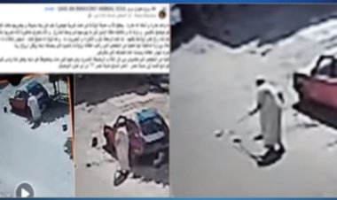 الداخلية تكشف ملابسات فيديو الاعتداء على كلاب صغيرة بمدينة نصر