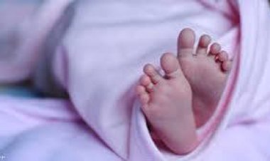 أمومة مزيفة.. واقعة غريبة لامرأة ذهبت لاستخراج قيد عائلي