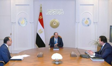 الرئيس يتابع الموقف التنفيذي لتطوير «معهد ناصر» ليصبح مدينة طبية عالمية