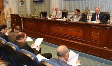 اليوم.. زراعة النواب تناقش ظاهرة نقص تقاوي البطاطس