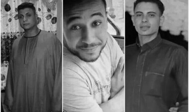 ننشر أسماء ضحايا ومصابي حادث الطريق الإقليمى (صور)