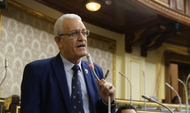 برلماني: عقبات في تنفيذ قانون صندوق قادرون باختلاف رغم تعديله منذ 3 سنوات