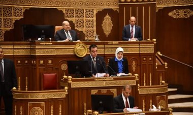 رئيس الشيوخ: عزوف الفلاح عن زراعة القطن بسبب التكلفة الباهظة