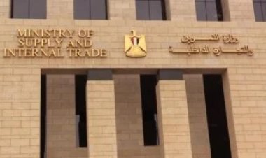 ثقيلة وأعبائها كثيرة.. قصواء الخلالي: أعان الله كل من يتولى وزارة التموين