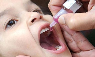 تأجيل إلغاء التسجيل الورقي للتطعيمات الروتينية.. قرار لرفع كفاءة السيرفرات|مستند