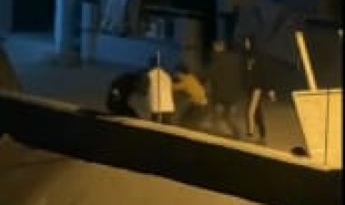 الداخلية تكشف ملابسات واقعة تعدي 4 أشخاص على مندوب مبيعات ودفعه في ترعة بكفر الشيخ