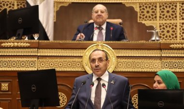 «الشيوخ» يوافق على تعديل مسمى قانون الضمان الاجتماعي والدعم النقدي.. اعرف التفاصيل